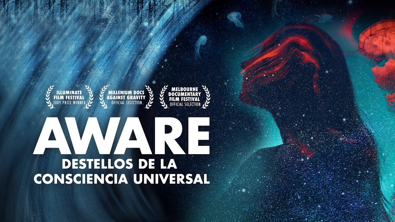 Aware: Destellos de Consciencia Universal