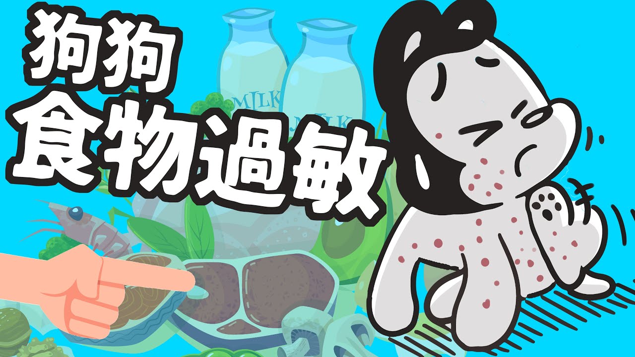 狗與鹿｜狗狗最常見的10種過敏食物｜2個好方法教你找出過敏原，狗不再皮癢癢！