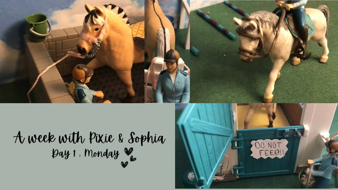 A week with Sophia & Pixie #horse  #schleichhorse #roleplay