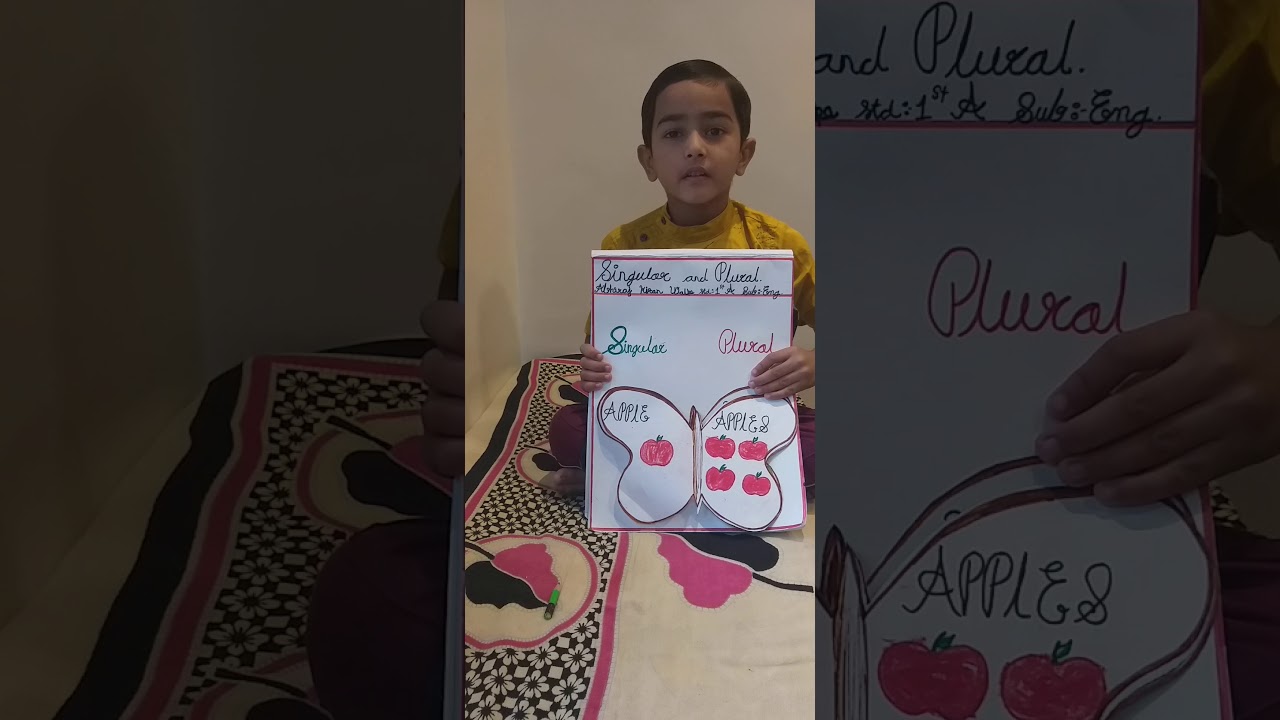 singular and plural words grammar( English project)