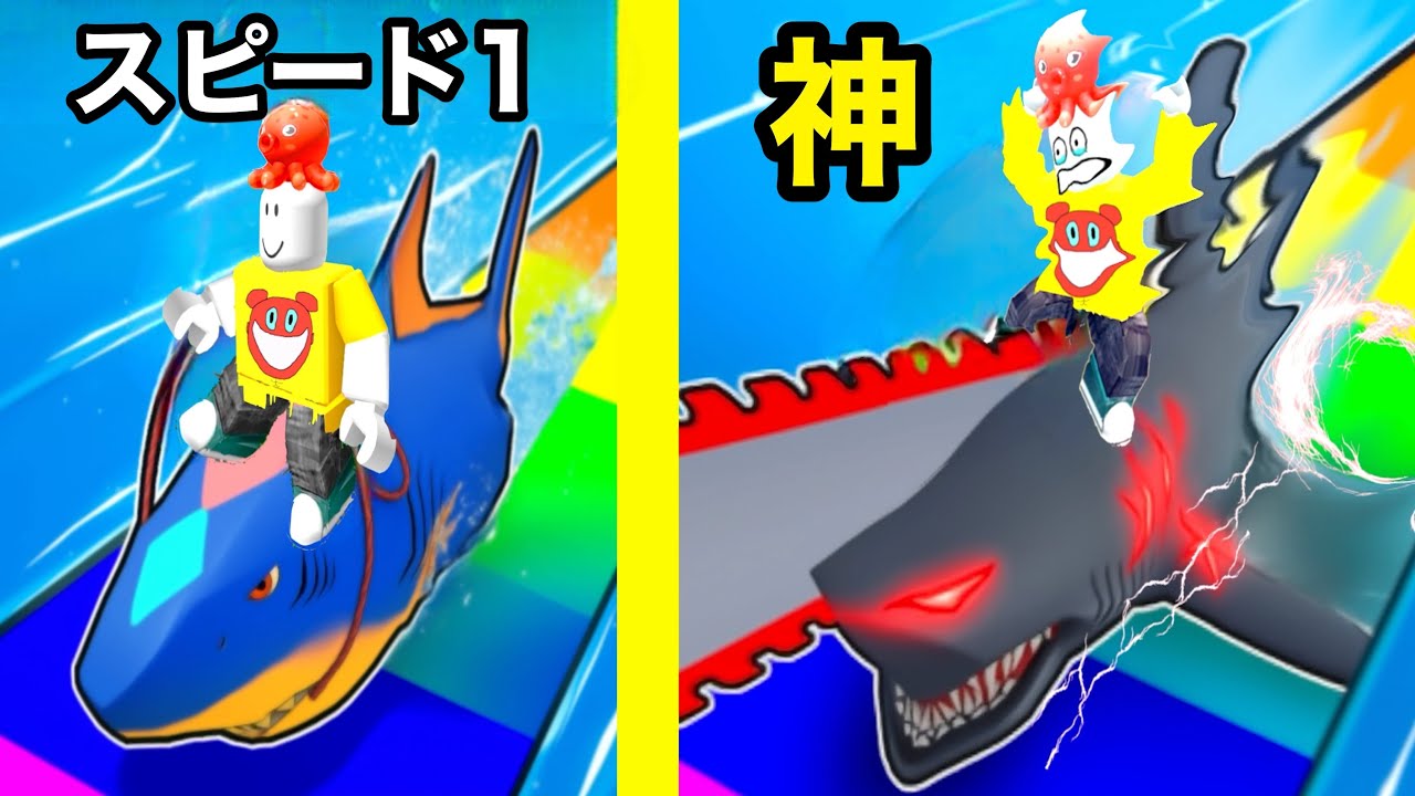 サメスピードをのろま&rarr;超高速ザメになるまでやりこんだロブロックス【 Roblox 】