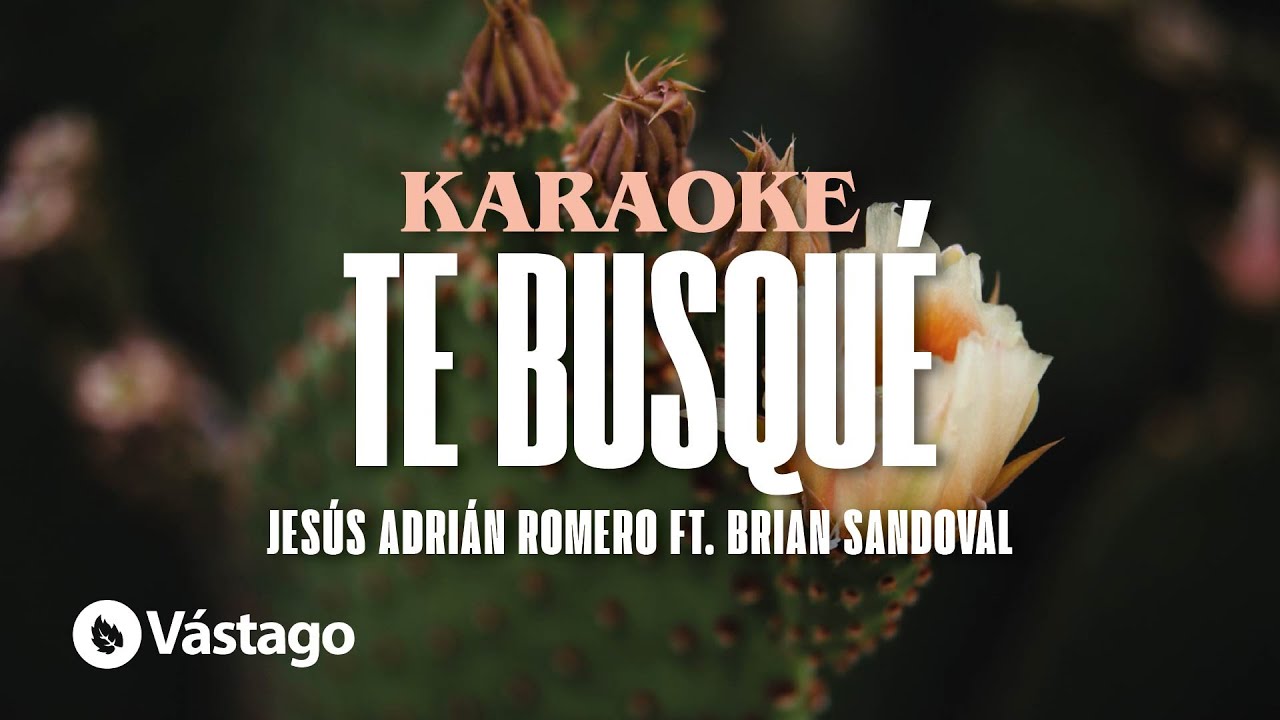 Te Busqué  - Jesús Adrián Romero, Brian Sandoval (Karaoke)