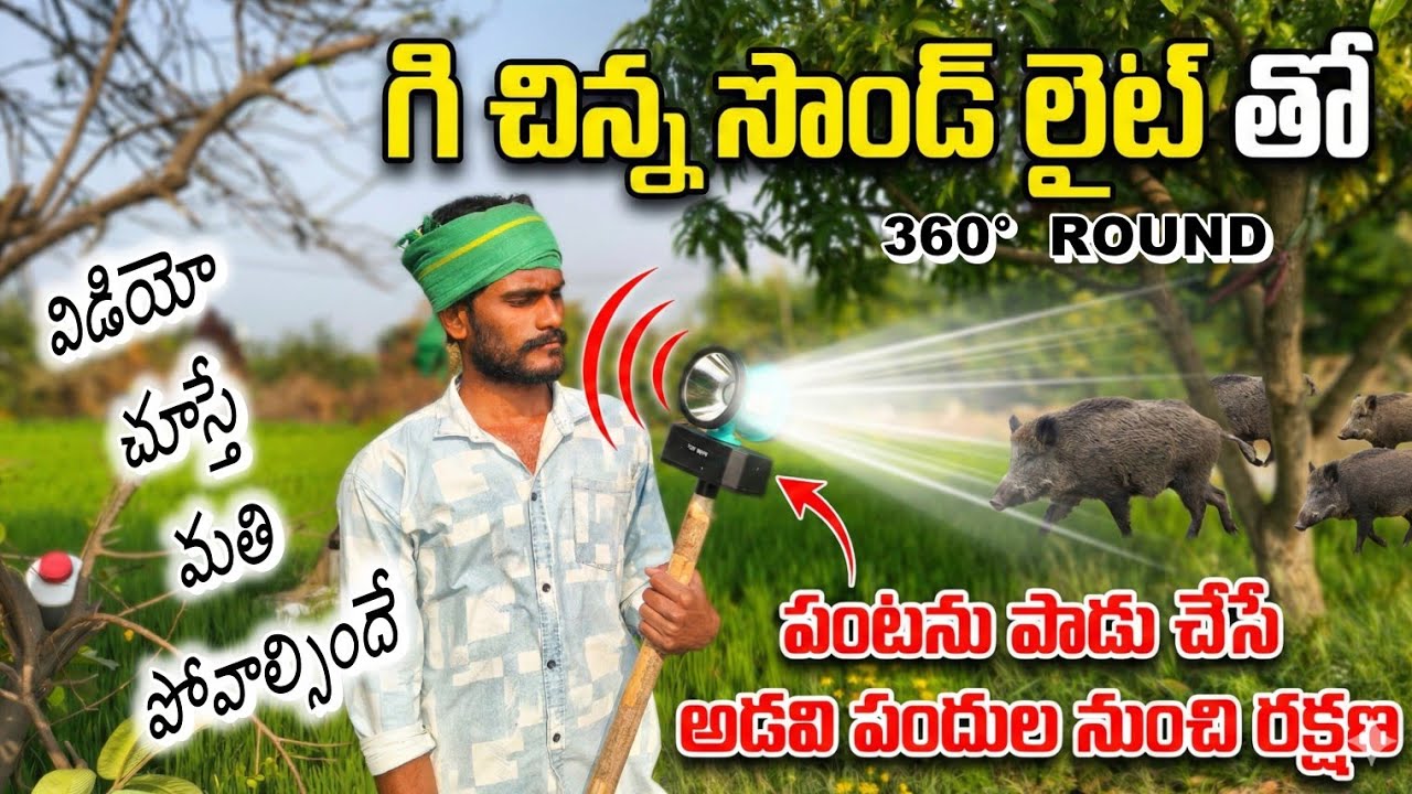 ఈ లైట్ తో పందుల భారీ నుంచి తప్పించుకుని పంటను కాపాడుకుందామా