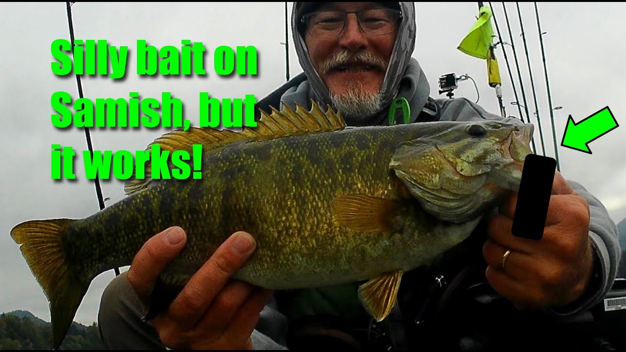 Samish Smallmouths on a silly bait...