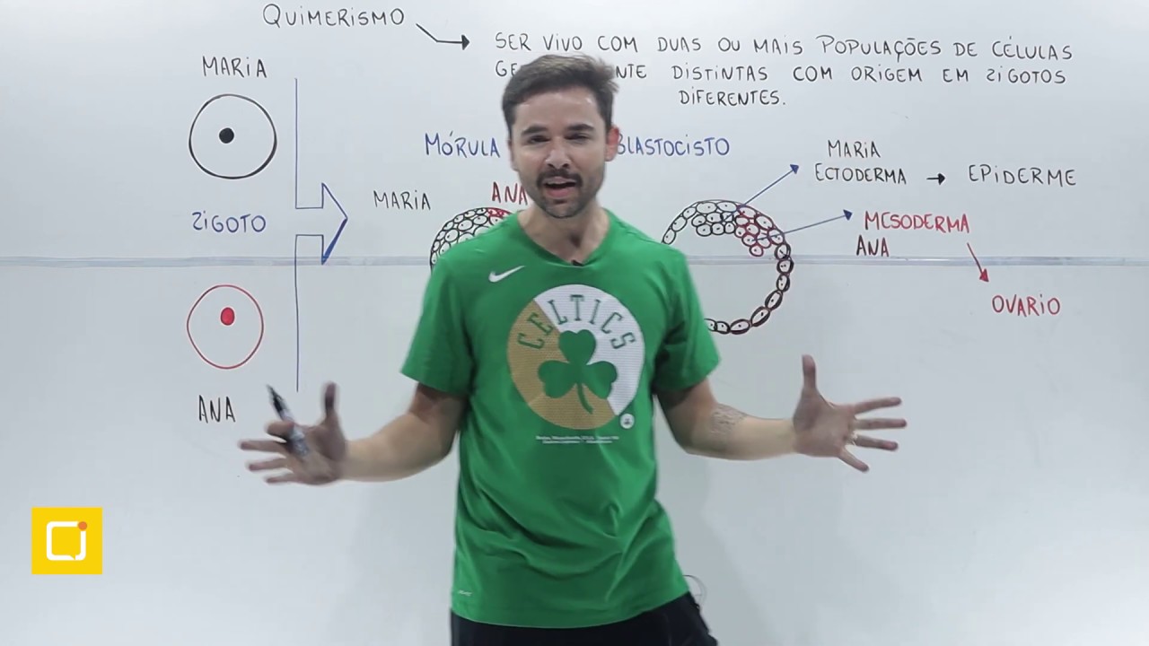 Quimerismo | BIOLOGIA 07