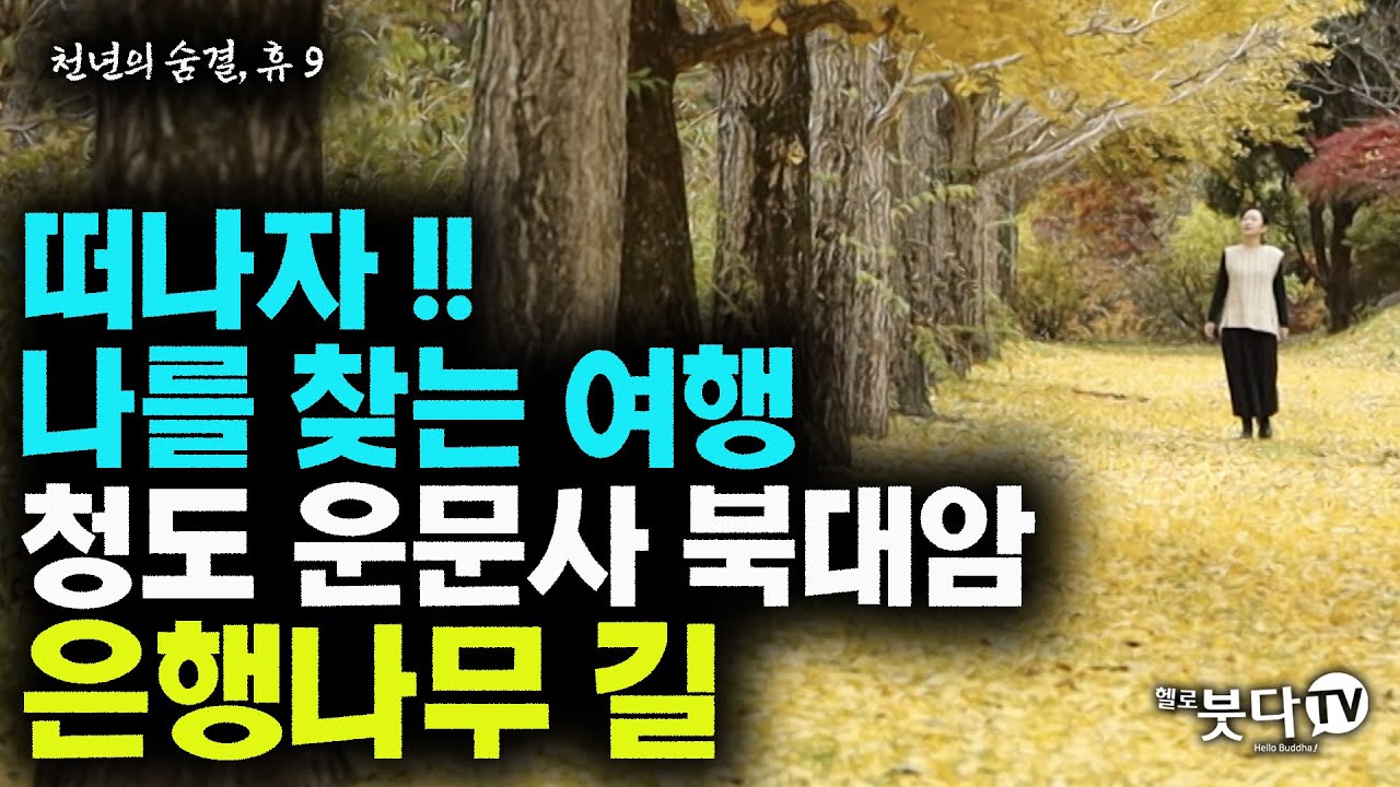 떠나자 나를 찾는 여행 청도 운문사 북대암 은행나무 길 | 천년의 숨결 휴 9회 | 여행 사찰 힐링 천년고찰 문화유산 추천여행지 안식 명상 쉼 천년고찰 암자 절 산사