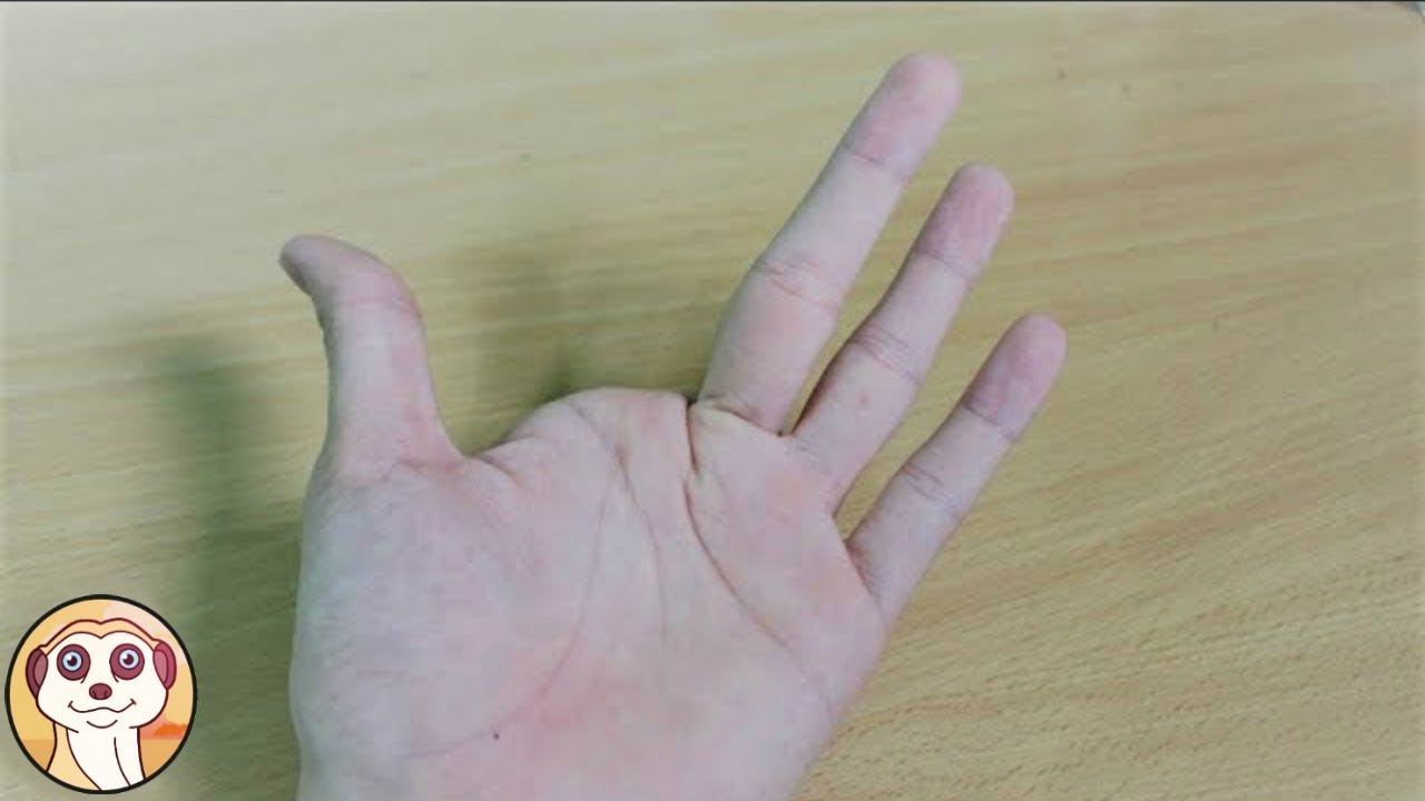 10 TRUCCHI DI MAGIA CHE TUTTI POSSONO FARE
