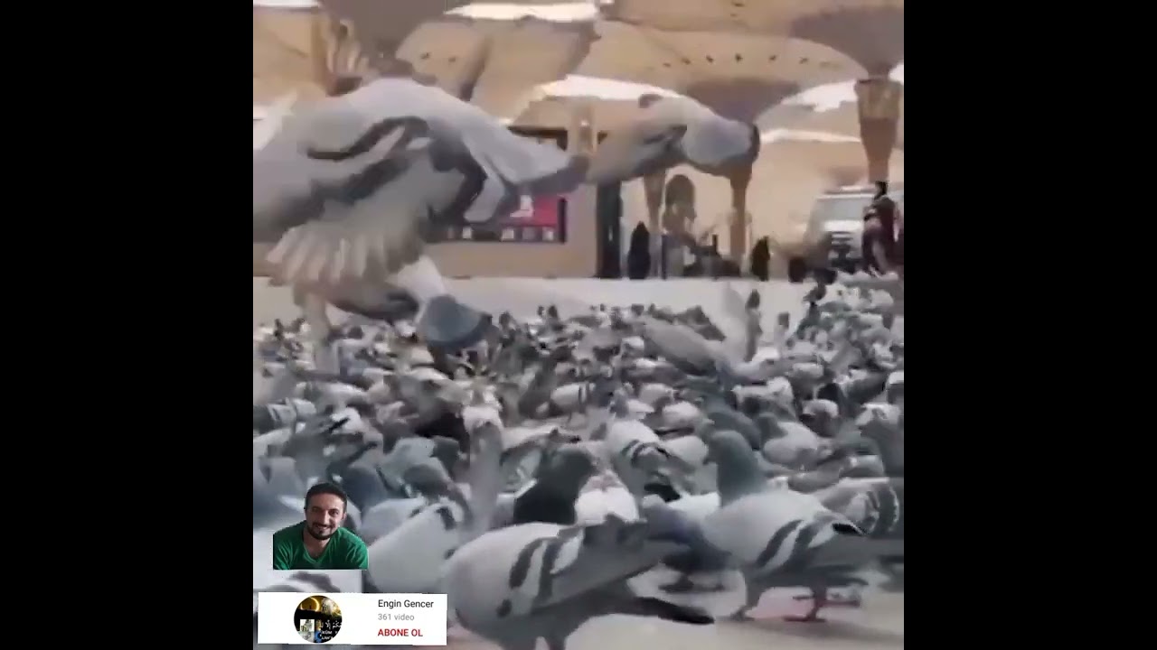 tasavvuf da fena fillah makamı