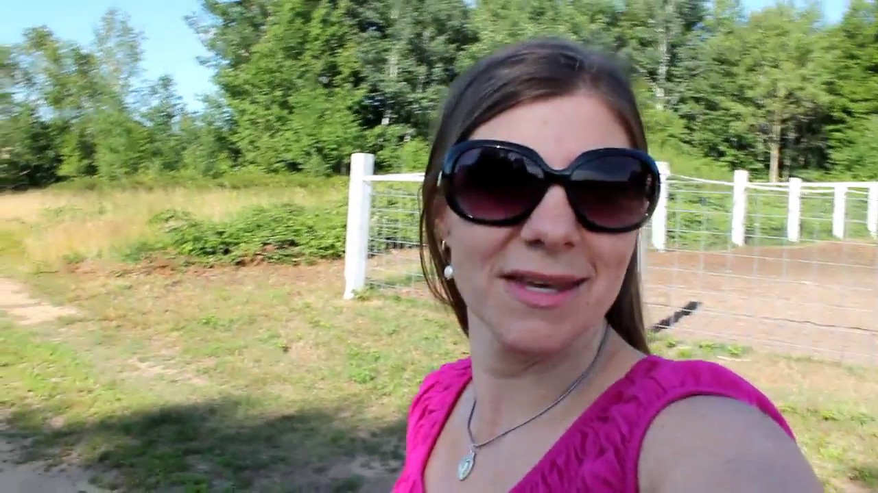 Take A Walk Around Our CRANBERRY MARSH