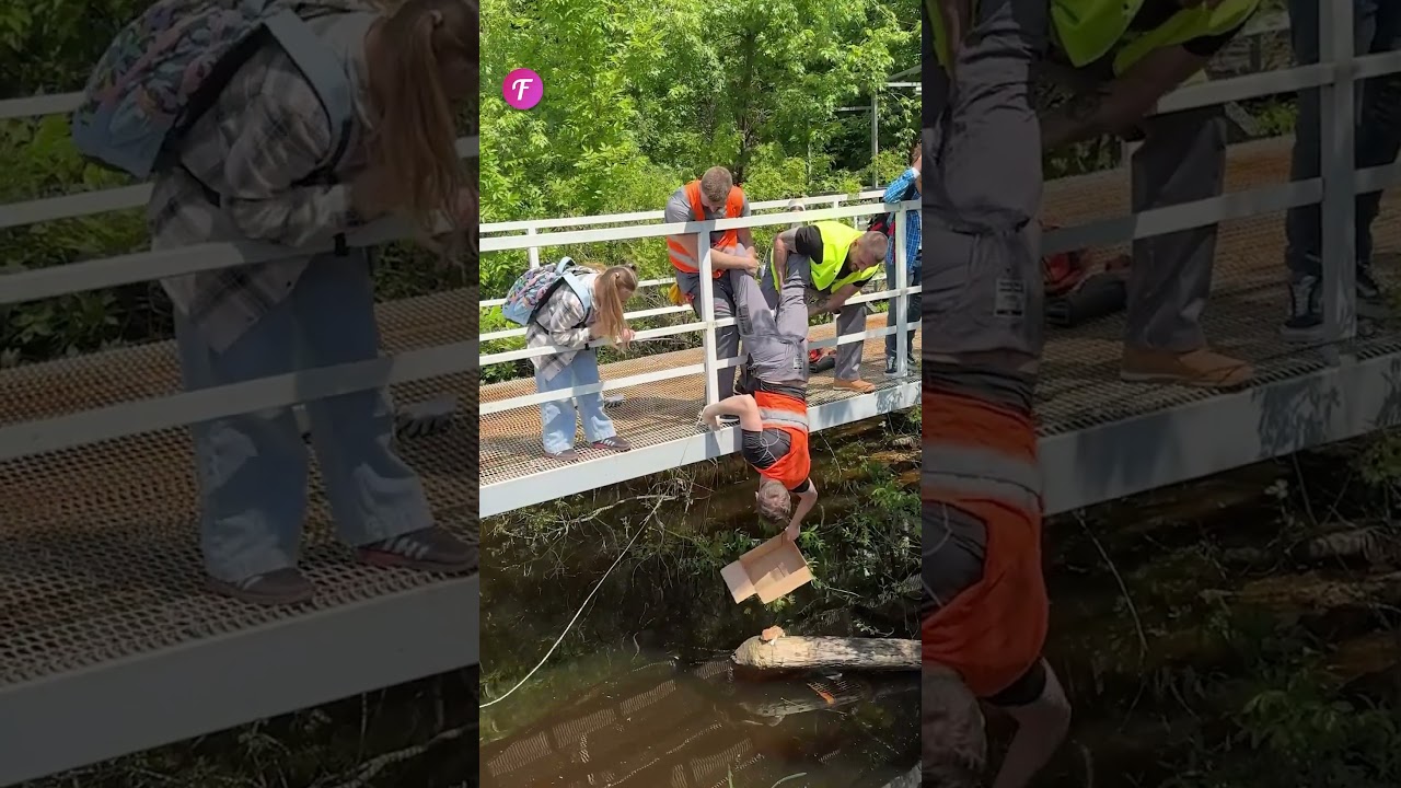 Rescue Operation: Construction Workers Save Pet from Ditch #shorts