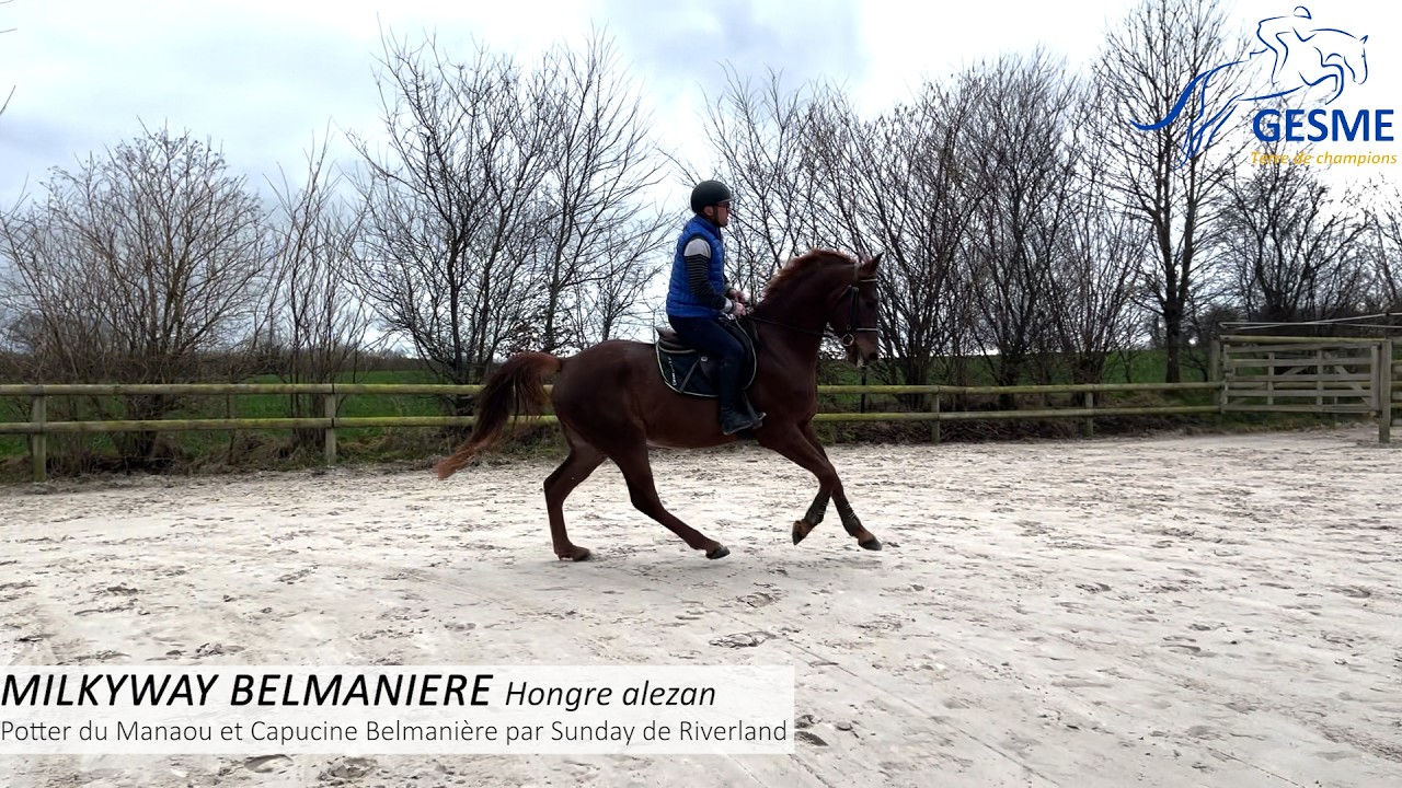 TRAINING POST VENTE - MILKYWAY BELMANIERE