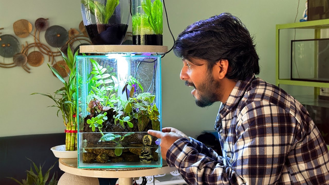 My Fish Room Gallery Update😇😍🥰