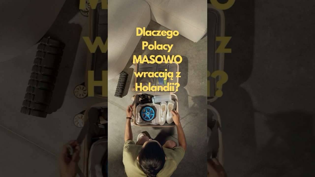 🔥 Dlaczego Polacy MASOWO wracają z Holandii? 🇵🇱💨🇳🇱Holandia  #holandia #polacywholandii