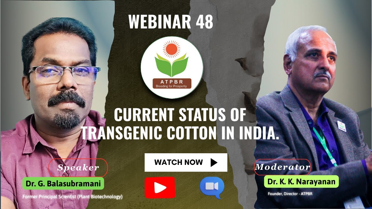 WEBINAR 48