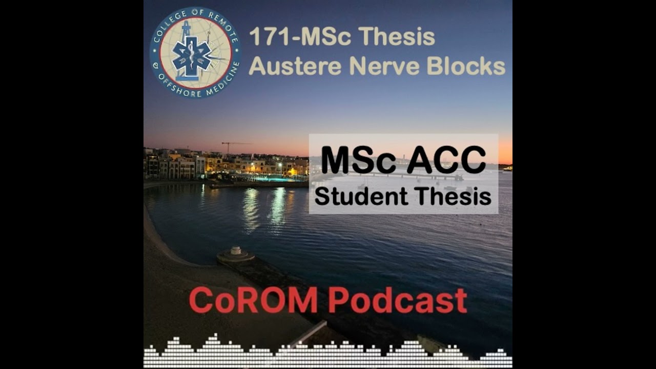 171-MSc Thesis Austere Nerve Blocks