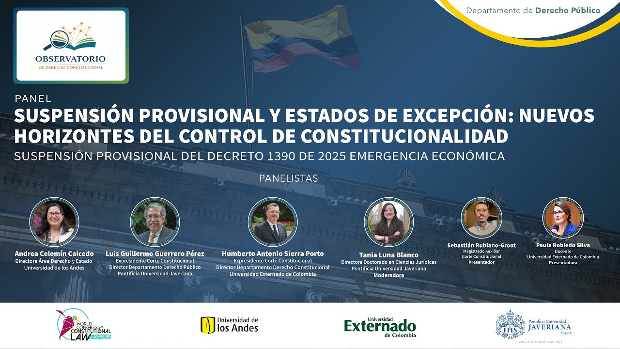 Panel | Suspensión provisional y estados de excepción: Nuevos horizontes