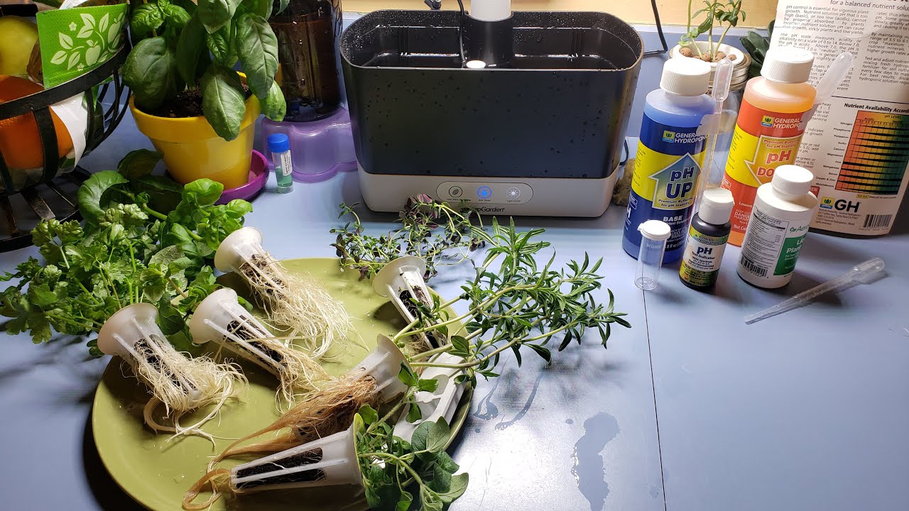 Aerogarden Harvest Cleaning and pH Balance