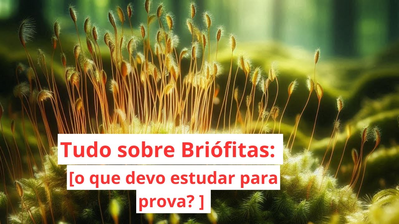 Tudo sobre Briófitas: Musgos, Hepáticas e Antócero [Completo]