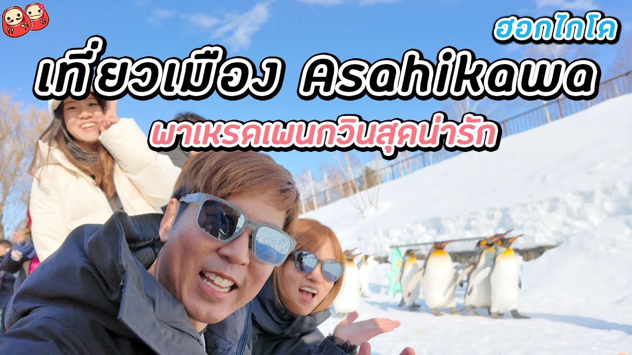 เที่ยวฮอกไกโด ชมพาเหรดเพนกวินเมือง Asahikawa