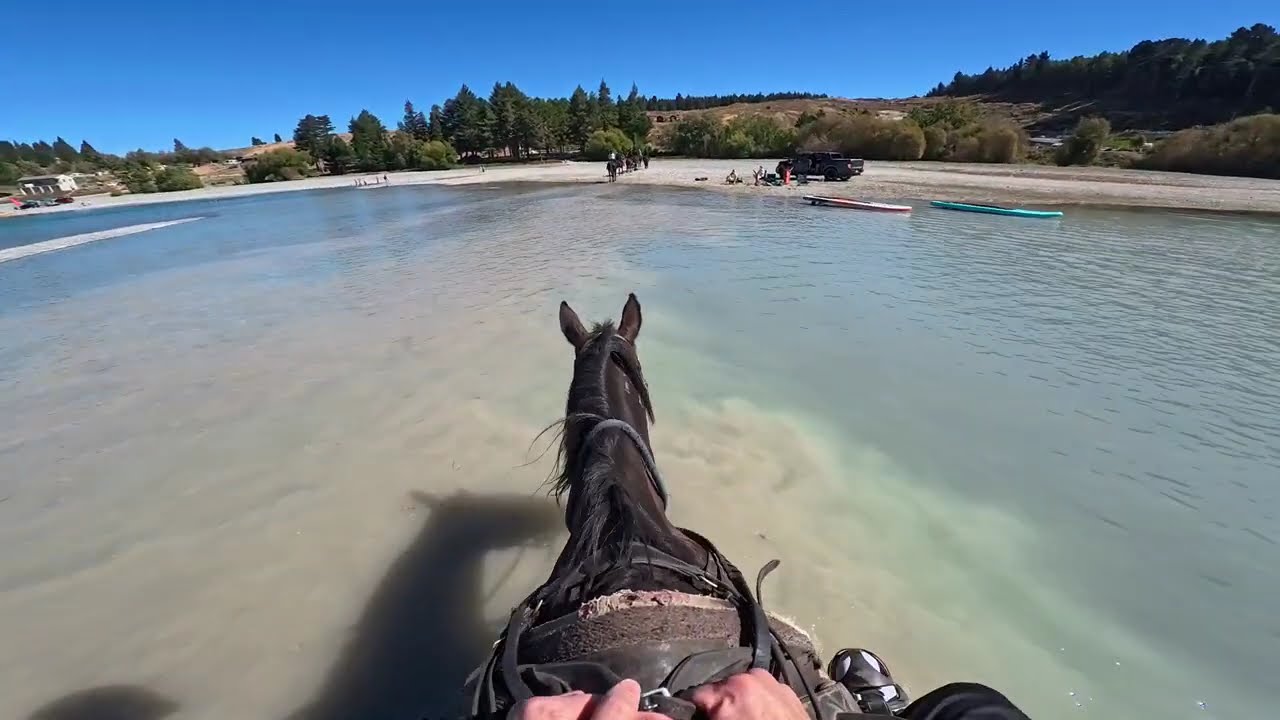 Mackenzie Alpine Horses