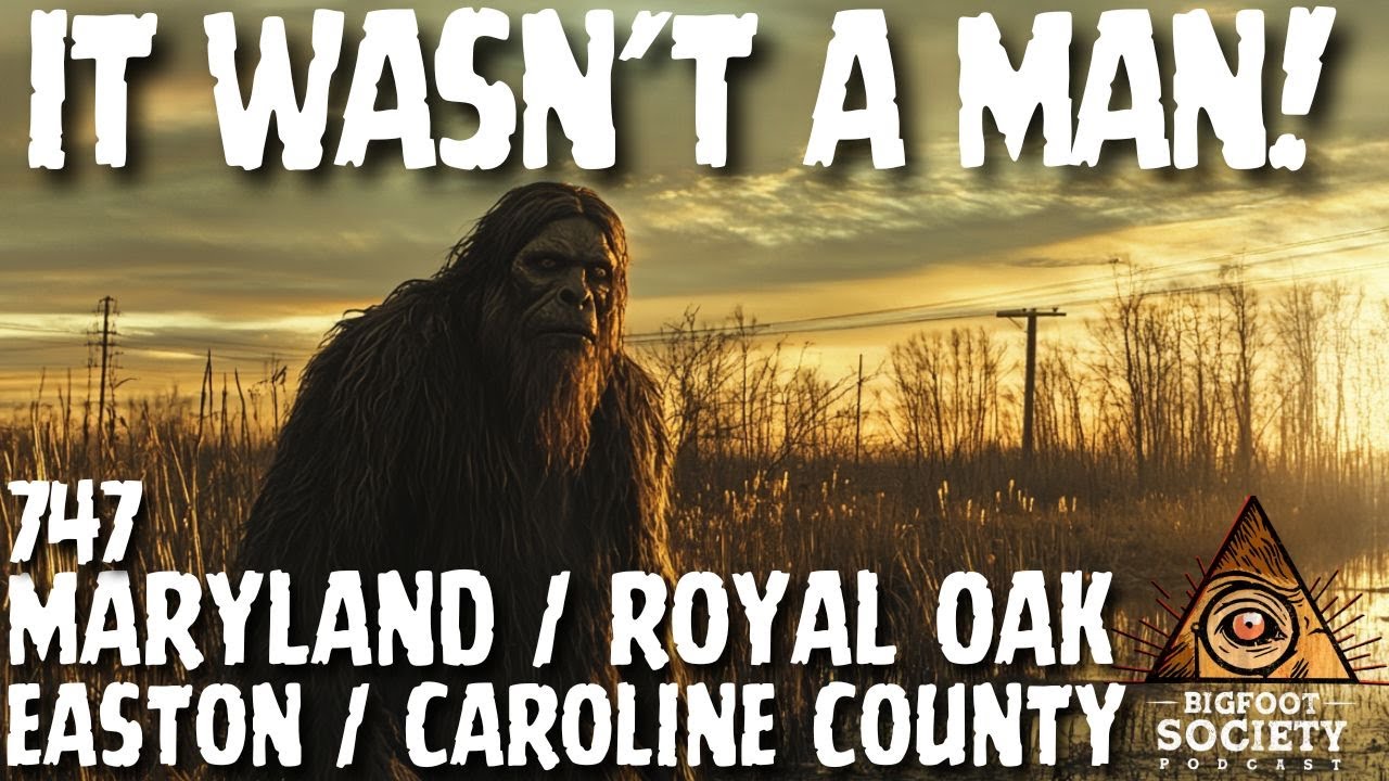 The Thing That Screamed Back: A Maryland Sasquatch Story | Bigfoot Society 747