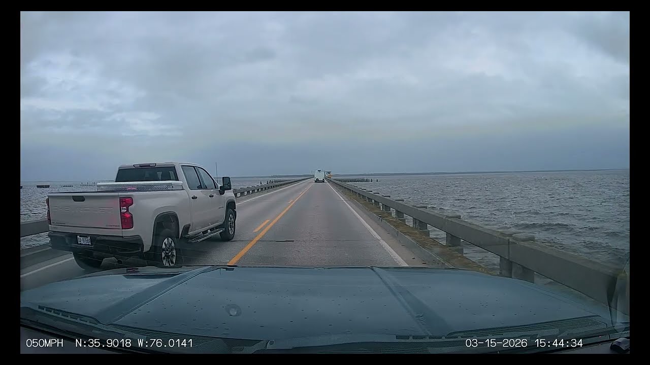 Alligator has seen some bad wrecks.....This is why....