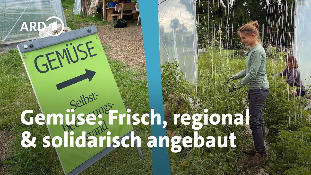 Nachhaltig Gemüse anbauen: Wie solidarische Landwirtschaft funktioniert | MDR Garten