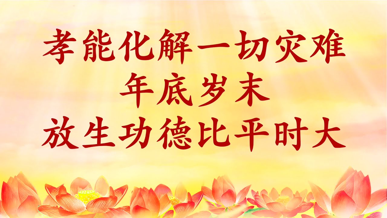 卢台长【节目录音+字幕】孝能化解一切灾难，年底岁末放生功德比平时大 《玄艺问答》