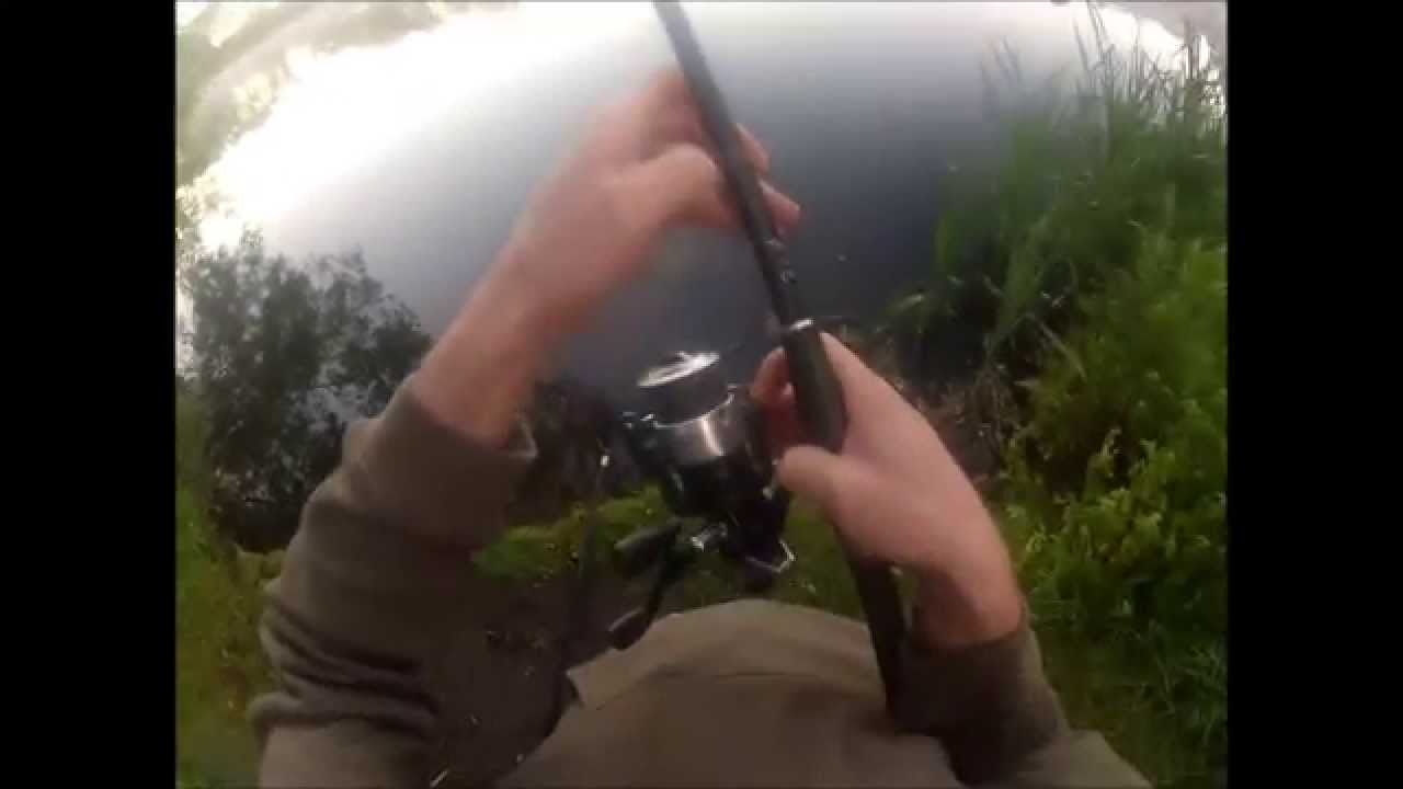 Monster Lymmvale catfish!