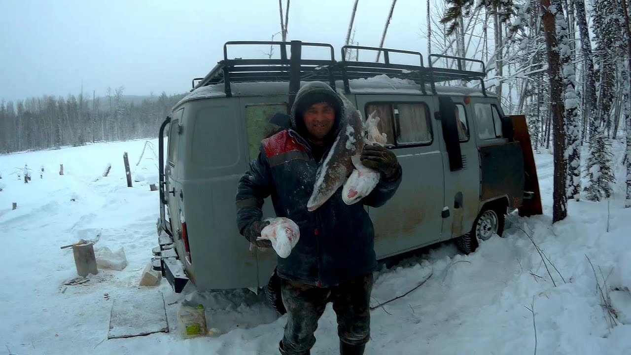 НОВОГОДНИЕ КАНИКУЛЫ В 