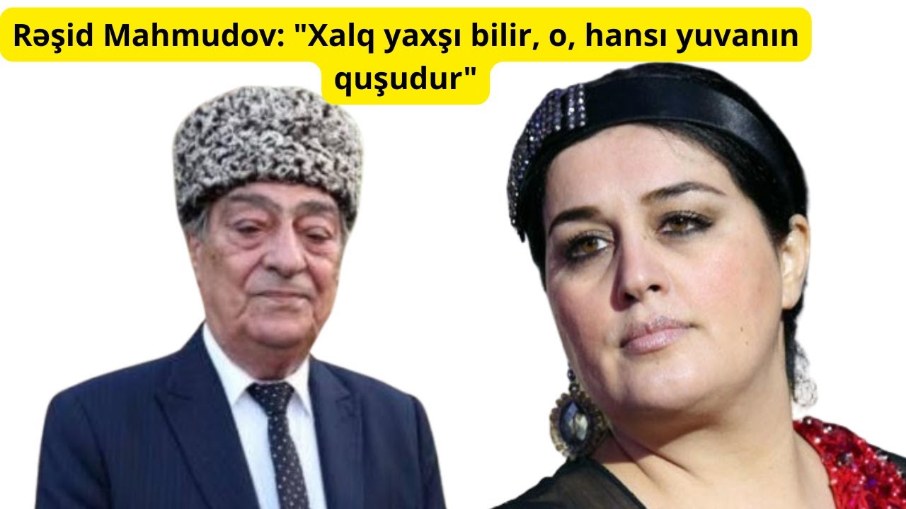 Elza Seyidcahan Rəşid Mahmudovu TƏHQİR etdi: 