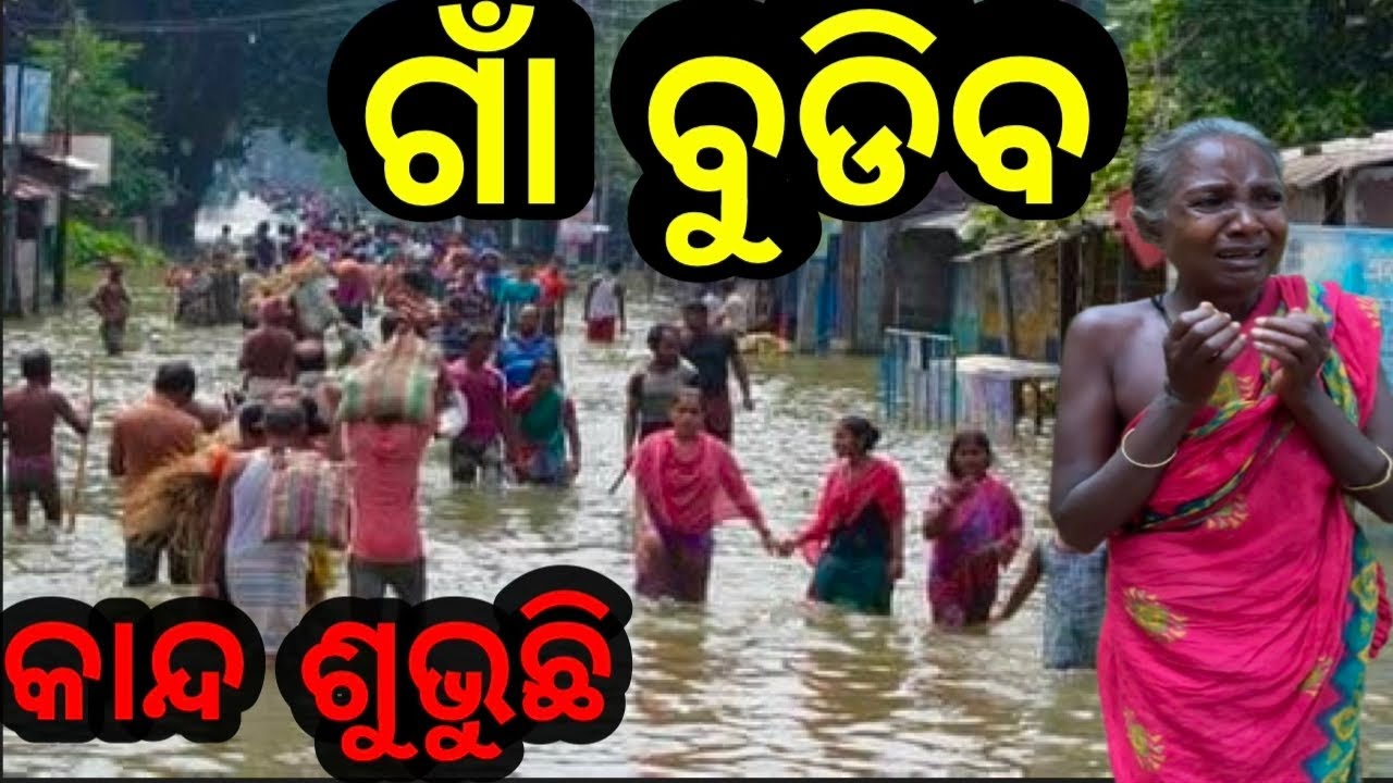 ଗାଁ ବୁଡିବ❗କାନ୍ଦ ଶୁଭୁଛି #triballife #charigarhvlogs #odiavideo #Chakadara #odisha #telkoi #travelfood