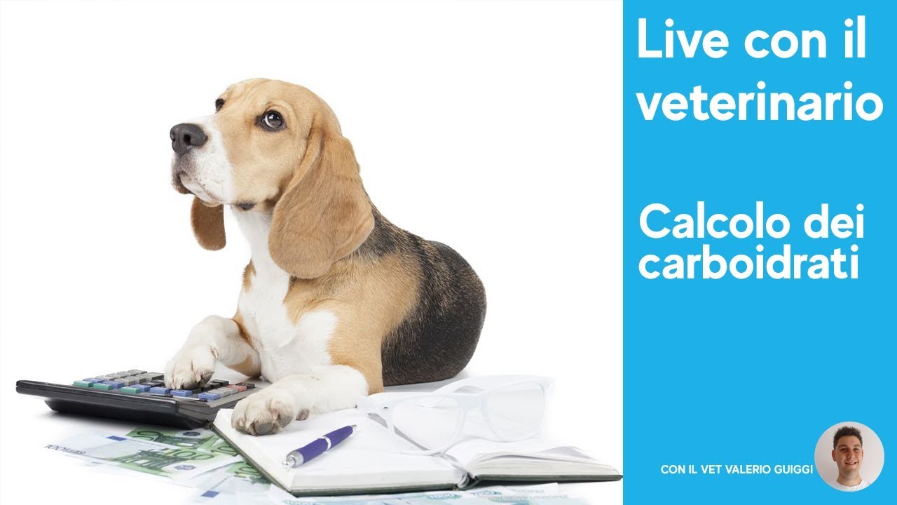 Live di Cani.it: il calcolo dei carboidrati nei croccantini