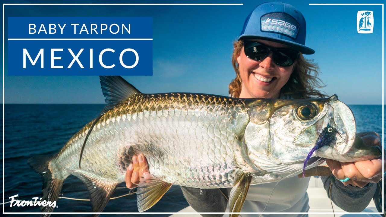 Campeche Tarpon Bay | Mexico