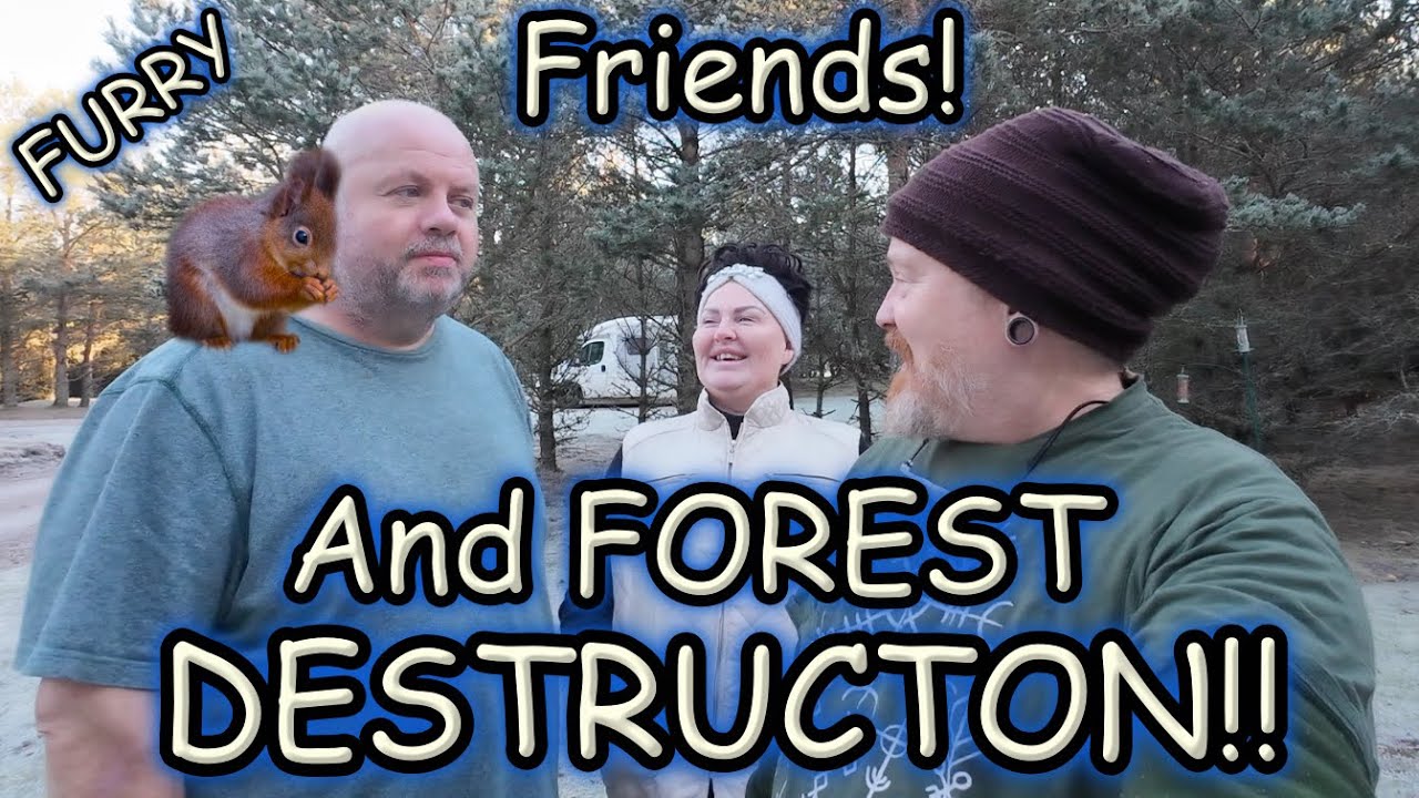 A TREK through DESTROYED forests in Scotland and cute furry Friends!