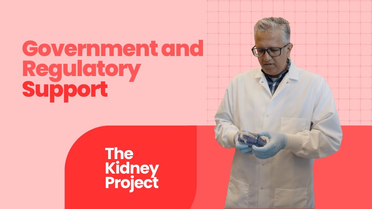Government and Regulatory Support