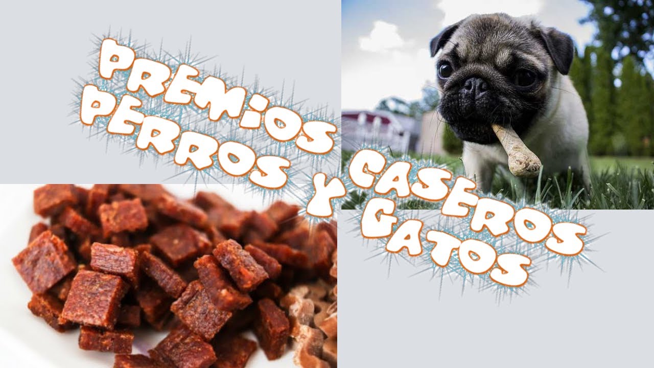 Premios caseros de hígado de pollo, ideales para entrenamiento canino o snack. Súper baratos