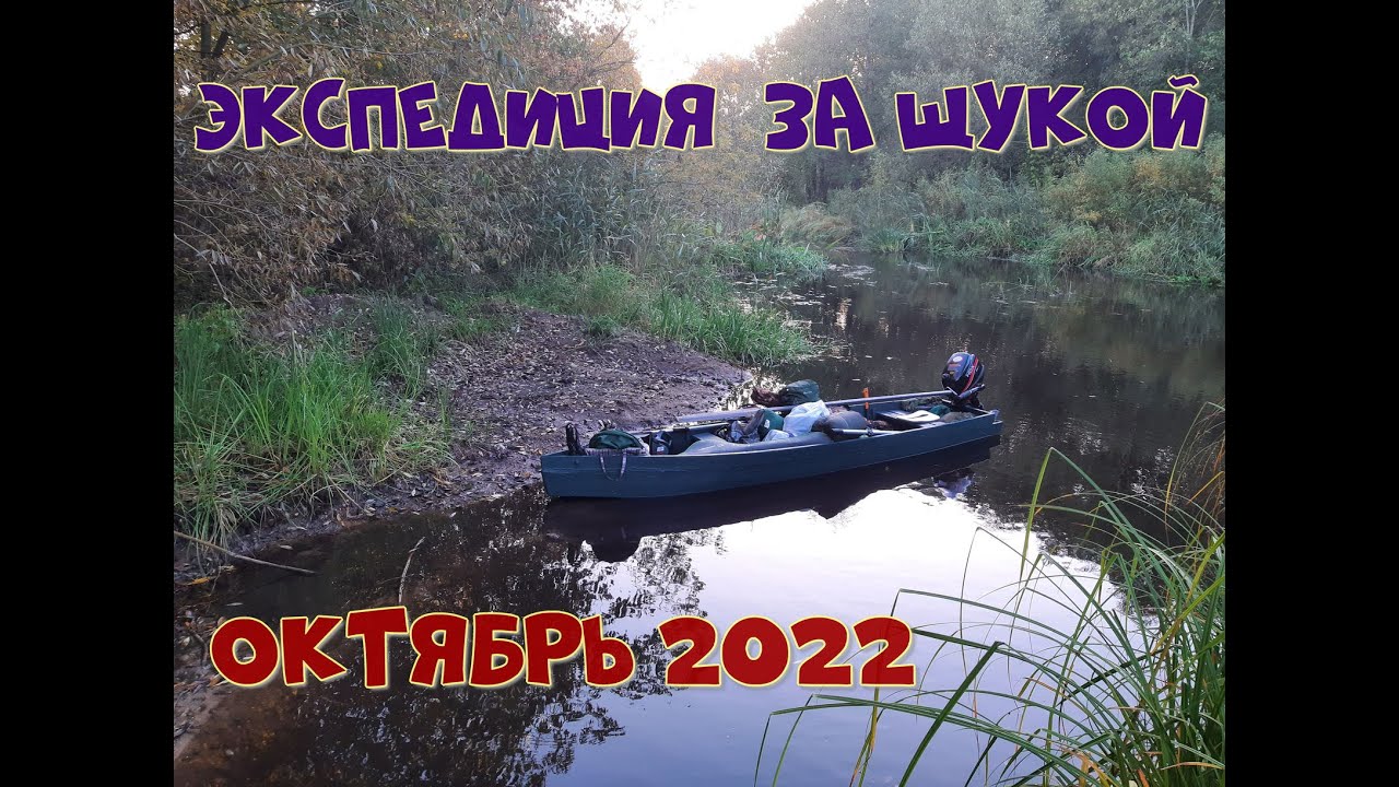Экспедиция за щукой. Октябрь 2022.