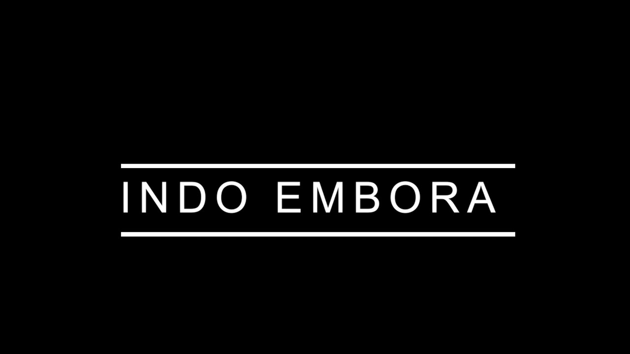 INDO EMBORA - ALEXANDRE FACCHINI