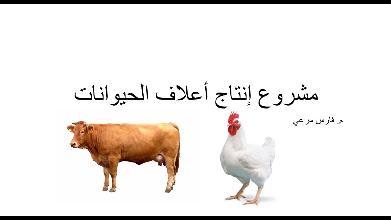 مشروع إنتاج أعلاف الدواجن دجاج ومواشي | اليمن - صنعاء | 775828278