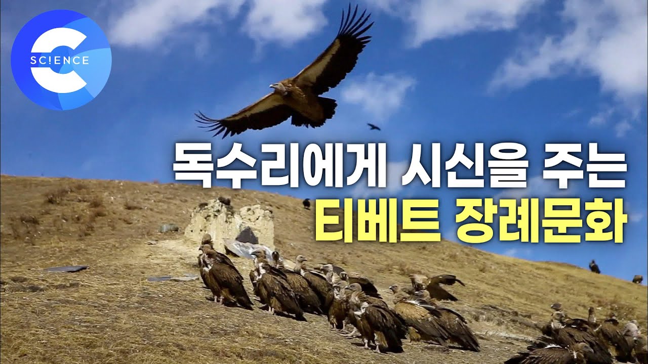 죽음이란 무엇일까? 티베트 장례의식 '천장'