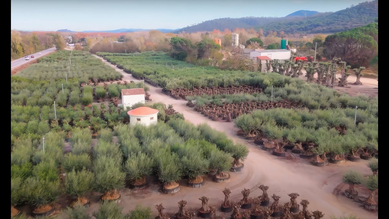 Instalaciones de Cultius Pon&ccedil;, sector NOU