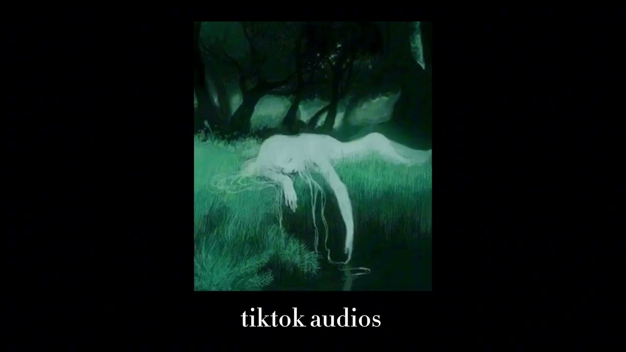 tiktok audios 170 + timestamps