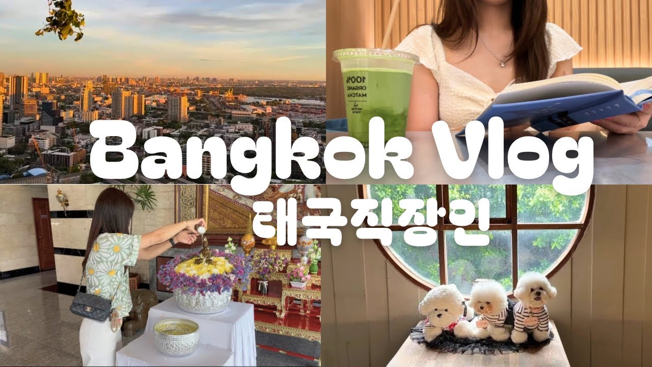 방콕직장인 브이로그🇹🇭🇰🇷ㅣ2025 쏭크란ㅣ방콕 11년차 Songkran을 즐기는법 (물총싸움 X)ㅣ아직 핫한 루프탑바 티츄카 1빠로 입장 오픈런ㅣ동네카페ㅣ8년 단골 태국퓨전 맛집