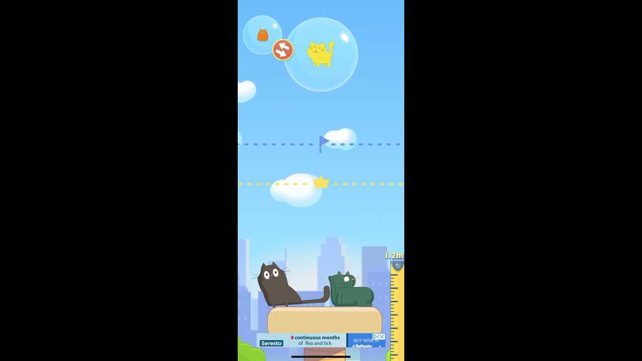 Funny Cats episode 2 - Cat Stack - Gameplay Walkthrough (iOS, Android) hilarious cats