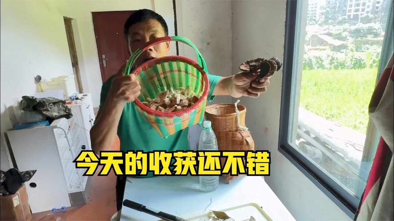 快到采蘑菇的季节，雨锅上山碰碰运气，今天收获了半篮子蘑菇和几朵灵芝