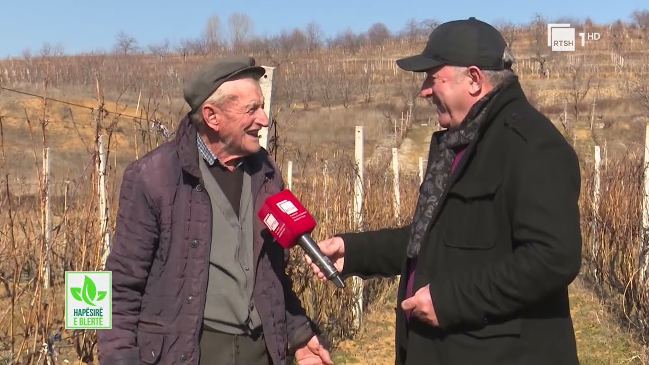 Zhvillimi i pemtaris&euml; n&euml; fshatin Stropck&euml; t&euml; Pogradecit / 