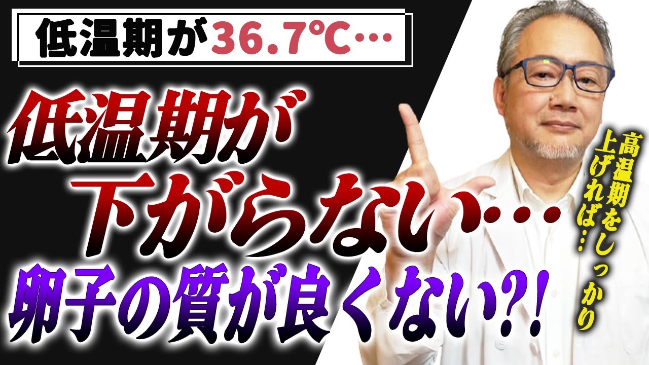 【妊活】低温期が高い&hellip;高いと卵の質は低い？！