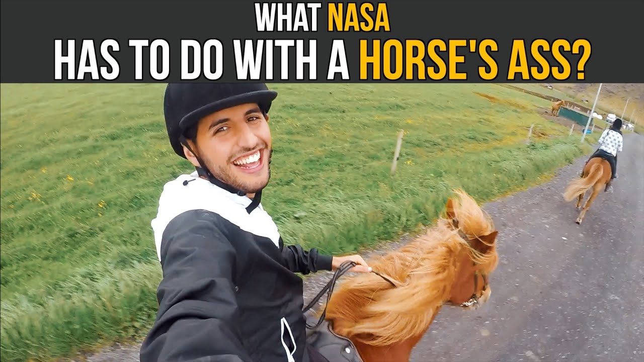 What NASA Has To Do With A Horse's Ass?
