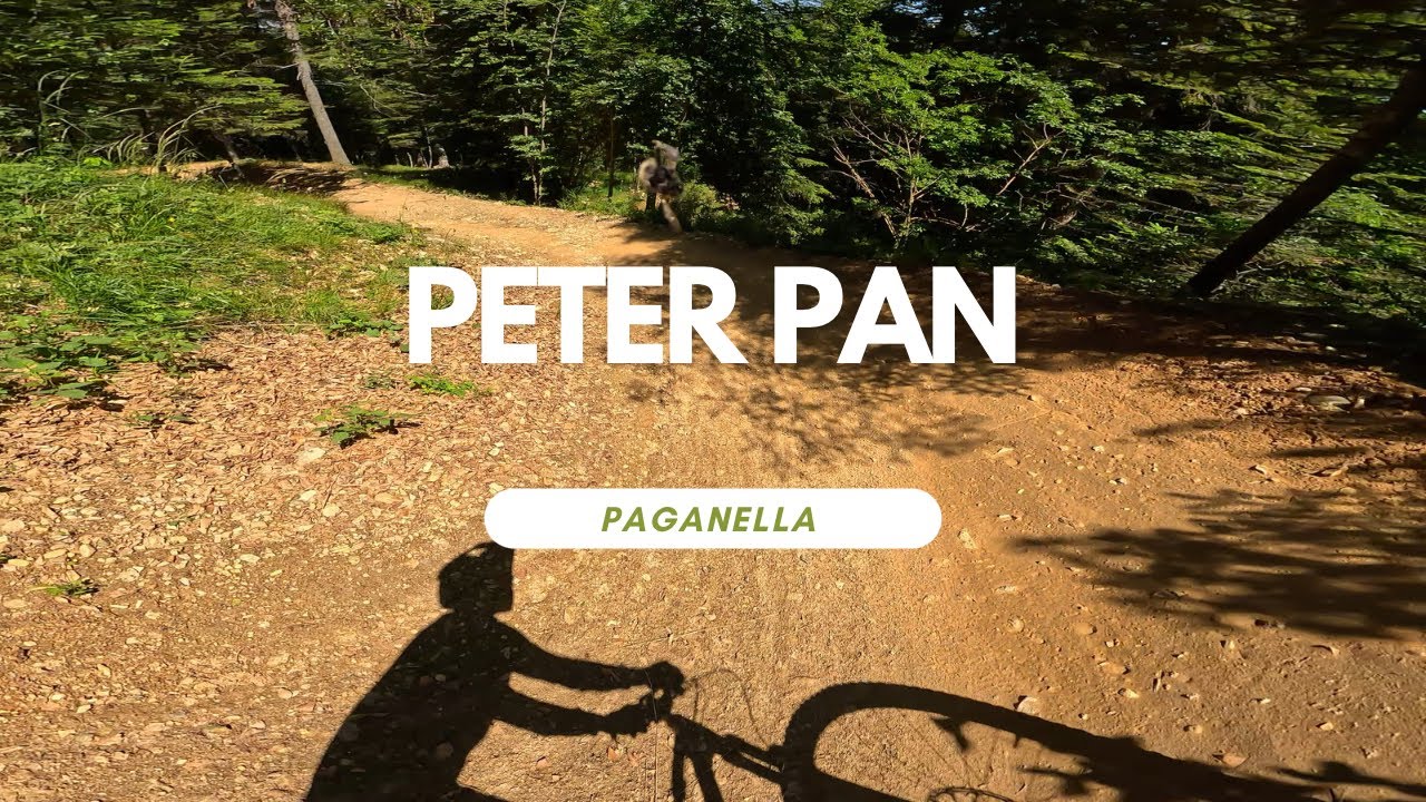Peter Pan Line Bikepark Dolomiti Paganella Italy Full Run POV RAW